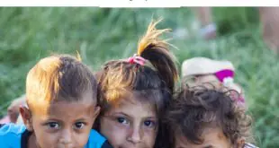 بيت الزكاة والصدقات المصري