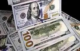 استقرار سعر الدولار الأمريكي
