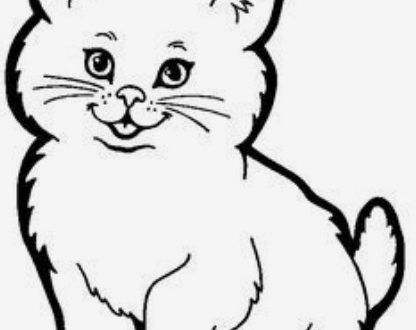 طريقة رسم قطة للاطفال