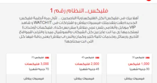 باقات فودافون فلیکس الشهرية 80