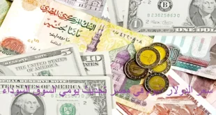 “بكام الأخضر”.. سعر الدولار اليوم في مصر 2023 الخميس في السوق السوداء
