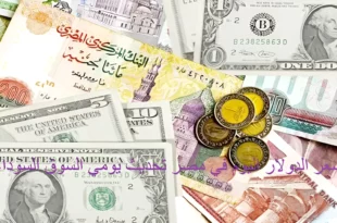 سعر الدولار اليوم في مصر 2023 الخميس