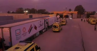 «مراسل القاهرة» دخول 120 شاحنة مساعدات إنسانية إلى قطاع غزة من معبر كرم أبوسالم
