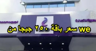 سعر باقة 250 جيجا من we
