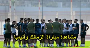مشاهدة مباراة الزمالك وأنيمبا