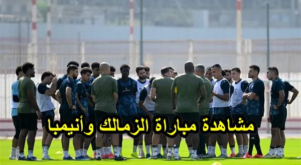مشاهدة مباراة الزمالك وأنيمبا