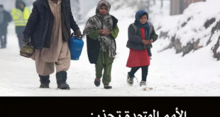 الأمم المتحدة تحذر: أزمة عودة اللاجئين الأفغان تتفاقم!