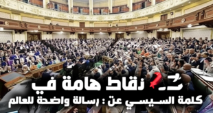 3 نقاط هامة في كلمة السيسي عن غزة: رسالة واضحة للعالم