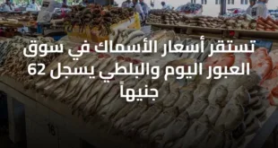 تستقر أسعار الأسماك في سوق العبور اليوم والبلطي يسجل 62 جنيهاً