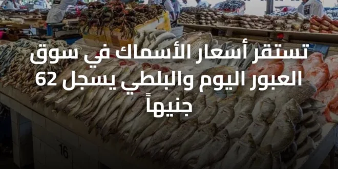 تستقر أسعار الأسماك في سوق العبور اليوم والبلطي يسجل 62 جنيهاً