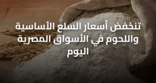 تنخفض أسعار السلع الأساسية واللحوم في الأسواق المصرية اليوم