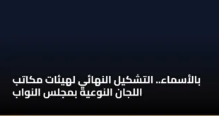 بالأسماء.. التشكيل النهائي لهيئات مكاتب اللجان النوعية بمجلس النواب