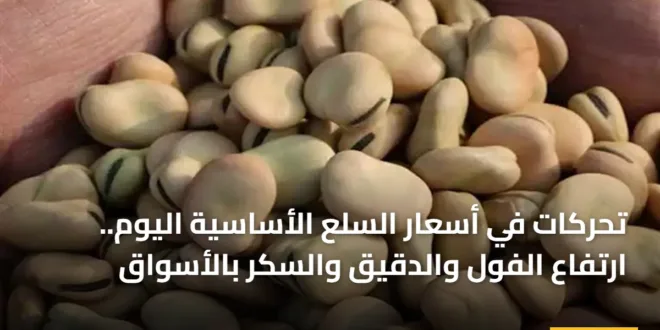 صورة توضح أسعار الفول والسلع الغذائية الأساسية في الأسواق المصرية لعام 2026