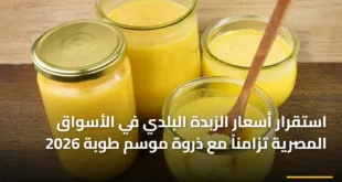 استقرار أسعار الزبدة البلدي في الأسواق المصرية تزامناً مع ذروة موسم طوبة 2026