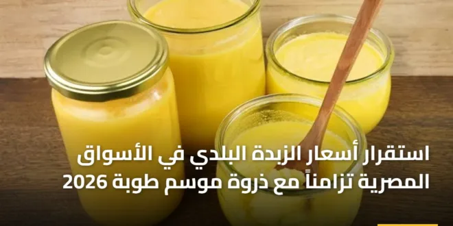 صورة توضح جودة الزبدة البلدي المعروضة في الأسواق المصرية خلال موسم طوبة 2026