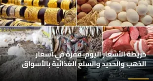 رسم بياني يوضح خريطة الأسعار اليوم وتغيرات الذهب والسلع الأساسية في الأسواق المصرية لعام 2026