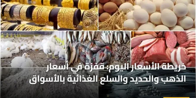 رسم بياني يوضح خريطة الأسعار اليوم وتغيرات الذهب والسلع الأساسية في الأسواق المصرية لعام 2026