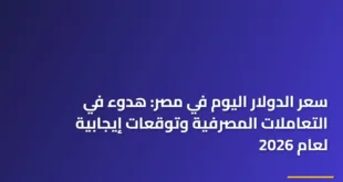 سعر الدولار اليوم في مصر: هدوء في التعاملات المصرفية وتوقعات إيجابية لعام 2026