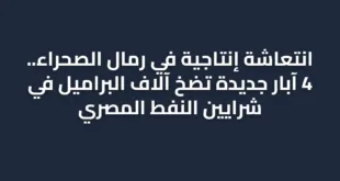 انتعاشة إنتاجية في رمال الصحراء.. 4 آبار جديدة تضخ آلاف البراميل في شرايين النفط المصري